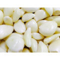 Exportação de boa qualidade Fresh Chinese Peeled Garlic